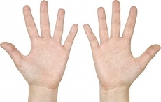Liniile palmei in chiromantie