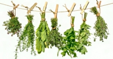 Convergenta Ayurvedei cu medicina populara romaneasca