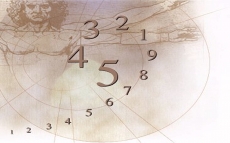 Afla profilul numerologic complet