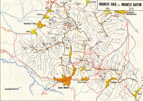 muntii Oas Gutai