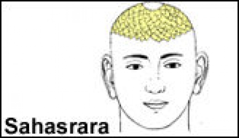 sahasrara chakra