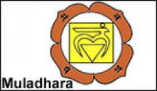 muladhara chakra