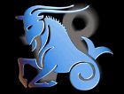 zodiaCapricorn
